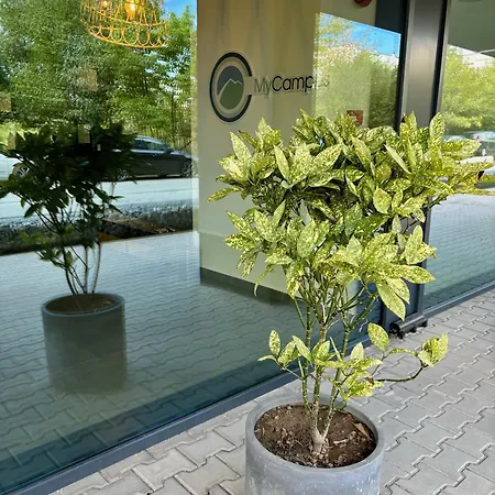 Mycampus Unwe Studentski Mountain Views Modern Kitchen Equipment