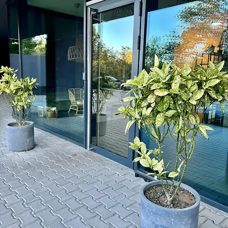 Mycampus Unwe Studentski Mountain Views Modern Kitchen Equipment アパート *